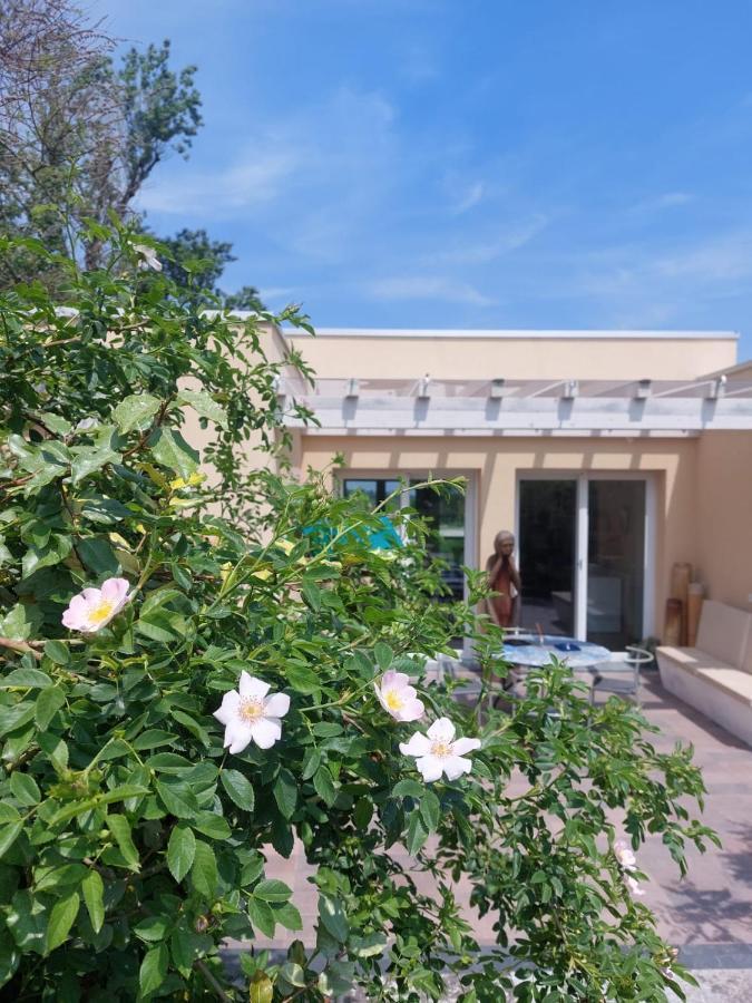 Pioppi Neri R&B Bed & Breakfast Felino Екстериор снимка